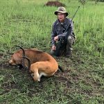 "Hunting in Uganda – kob, buffalos and unique African wildlife"