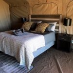 "Hunting in Tanzania – lions, elephants and legendary safaris"