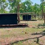 "Hunting in Australia – water buffalos, wild boars and exotic wildlife"