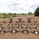 "Hunting safari in Mozambique – buffalos, leopards and wild plains"