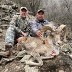 "Hunting in Uzbekistan – ibex, mouflon and steppes"