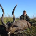 "Hunting safari in Zambia – leopards, hippos and antelopes"