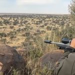 "Hunting safaris in South Africa – rhinos, buffalos and antelopes"