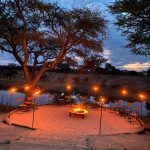 "Hunting in Tanzania – lions, elephants and legendary safaris"