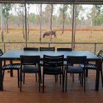 "Hunting in Australia – water buffalos, wild boars and exotic wildlife"