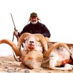 4f44def3-b916-4e34-9dd0-abdfeed4d6dc